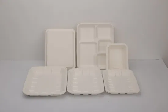 Bagasse-Papierzellstoff-Bento-Behälter, Lunchbox, biologisch abbaubarer Lebensmittelbehälter, Deckel für Schul- und Restaurant-Teller zum Mitnehmen